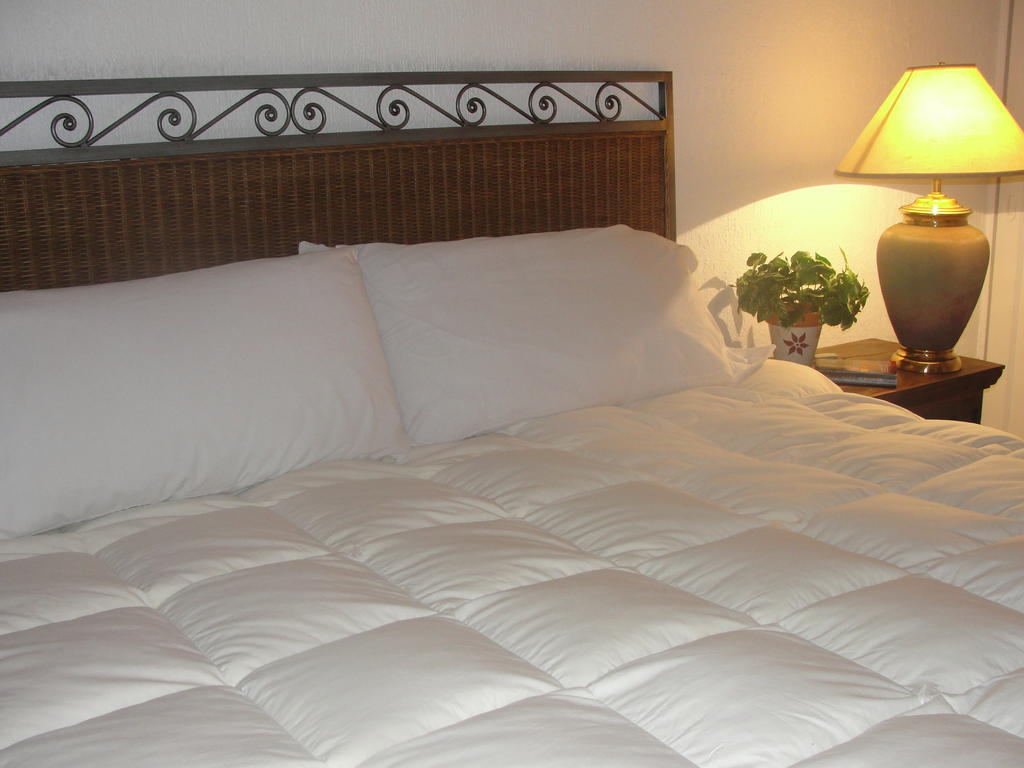 Steinhaus Suites Homero 멕시코 시 외부 사진
