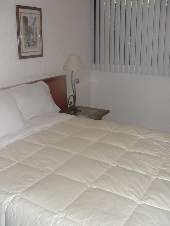 Steinhaus Suites Homero 멕시코 시 외부 사진